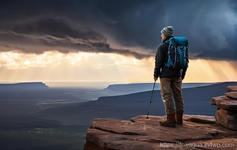 핵심 가치 명확화를 위한 단계별 접근법 - **Prompt: Choosing an Authentic Path**
    A dynamic, wide-angle shot of an adult individual, gender...